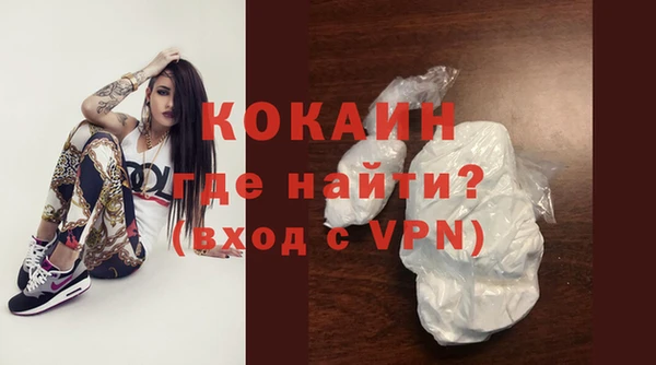 трава Корсаков