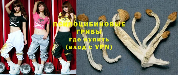 стафф Кукмор