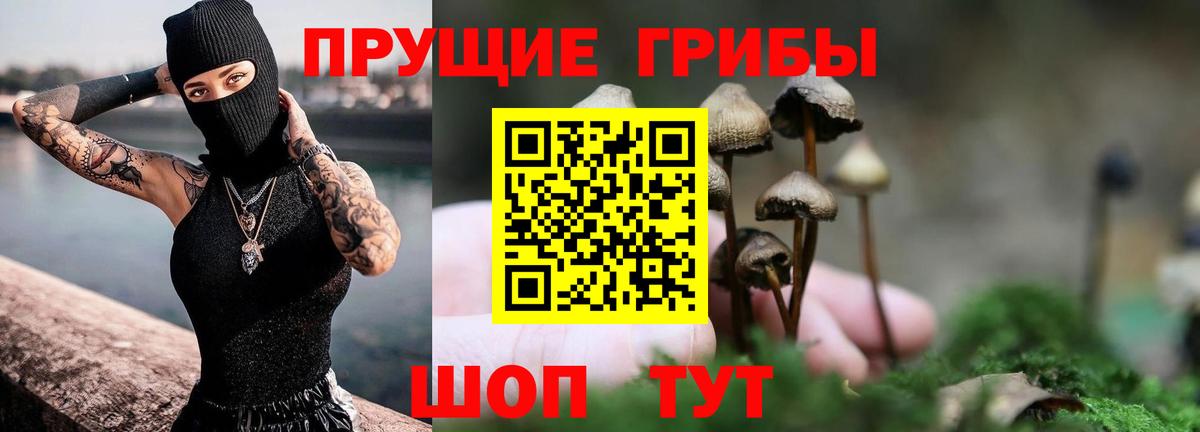 Галлюциногенные грибы прущие грибы  Галлюциногенные грибы мицелий  Вход с VPN  Минеральные Воды 